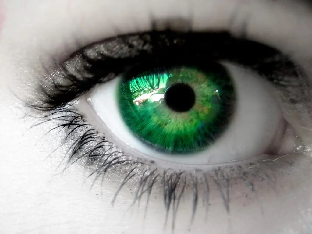 GreenEyes
