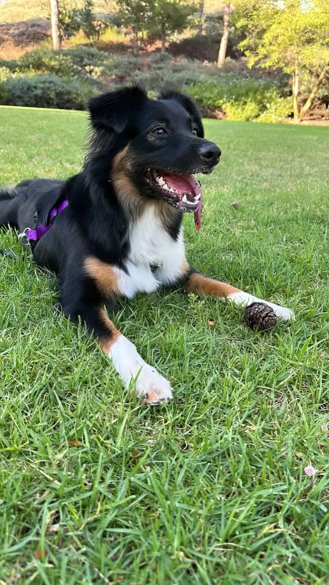 Martha