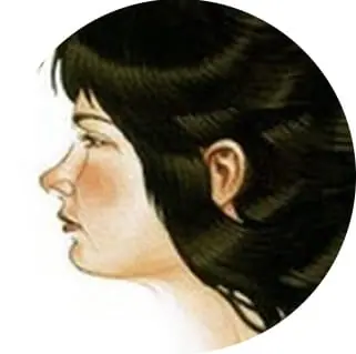 Steph Pavitt