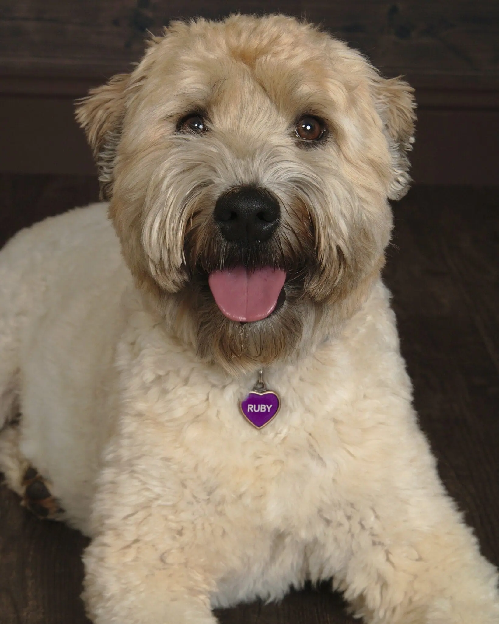 Ruby