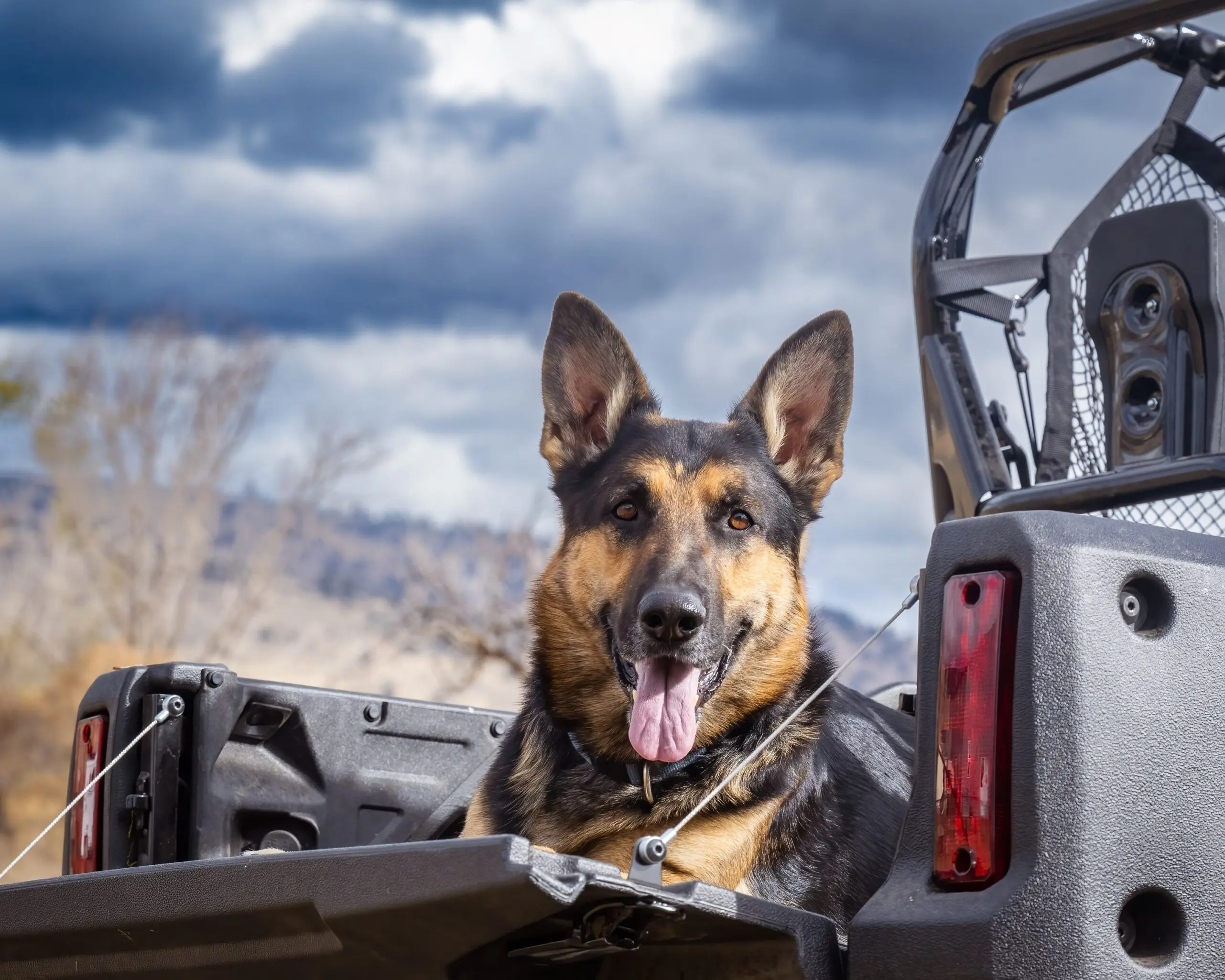 NeighborhoodWatchDog