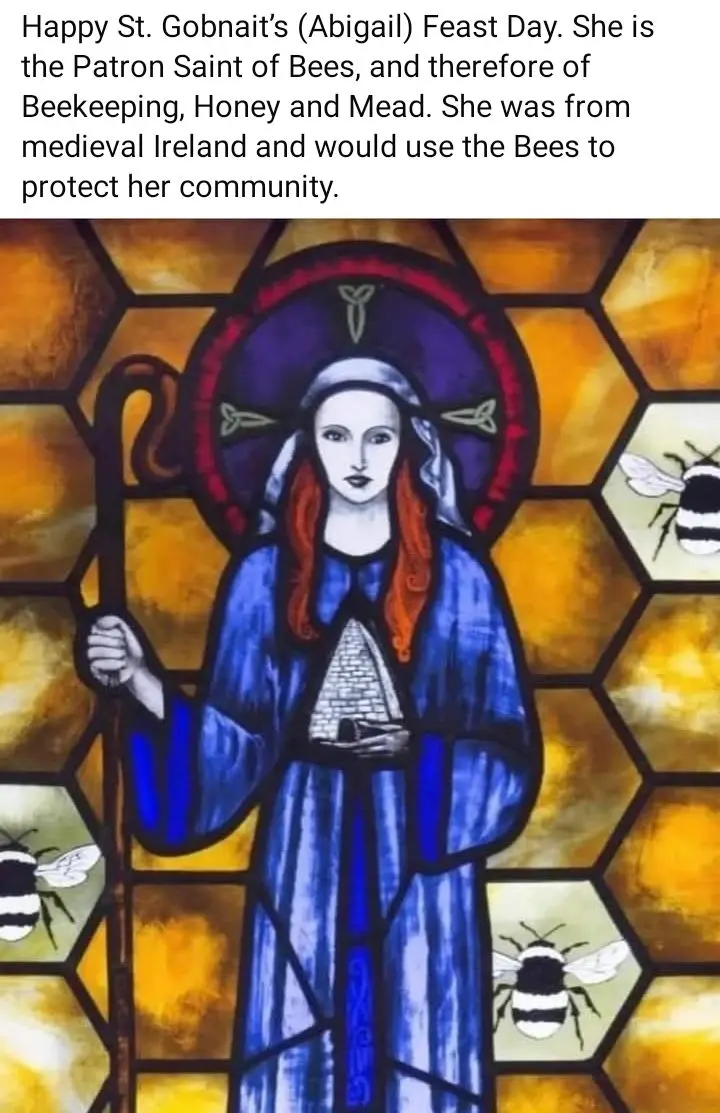 QueenGobniat
